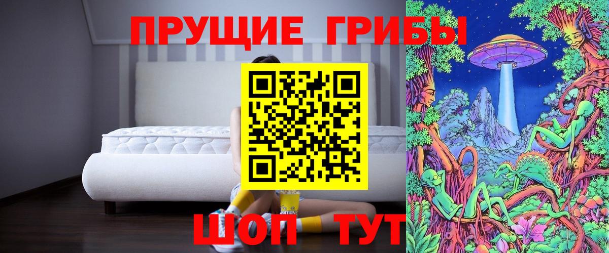 Галлюциногенные грибы Cubensis  Вход с VPN  Артём 