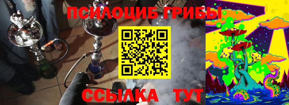 Псилоцибиновые грибы Psilocybine cubensis  Артём 